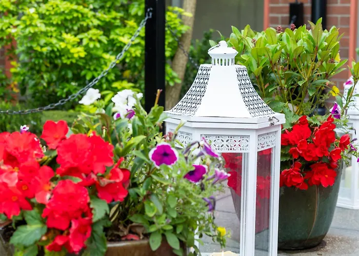 The Glenside Отель Дроэда